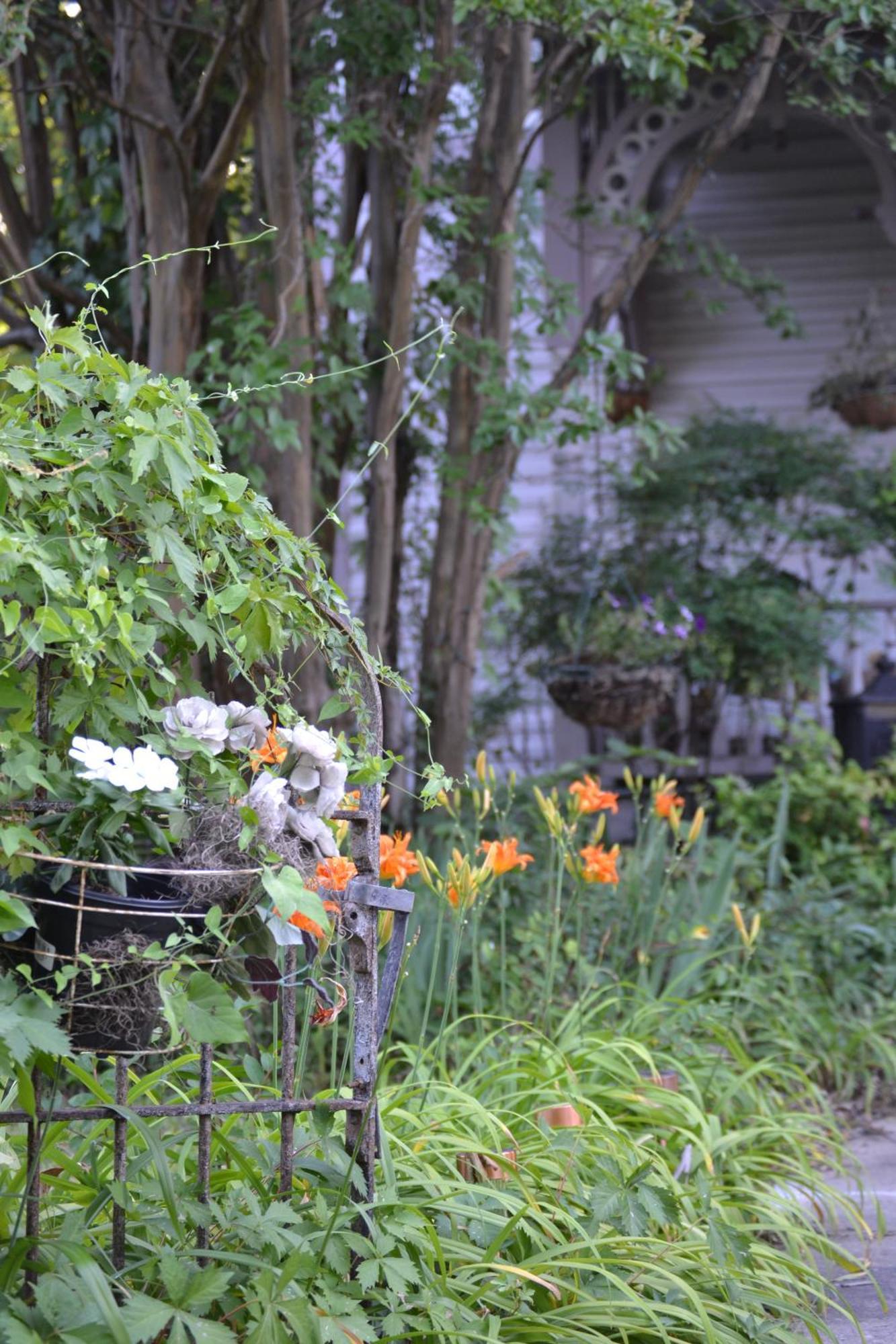Carleton House Bed And Breakfast Bonham Exterior foto